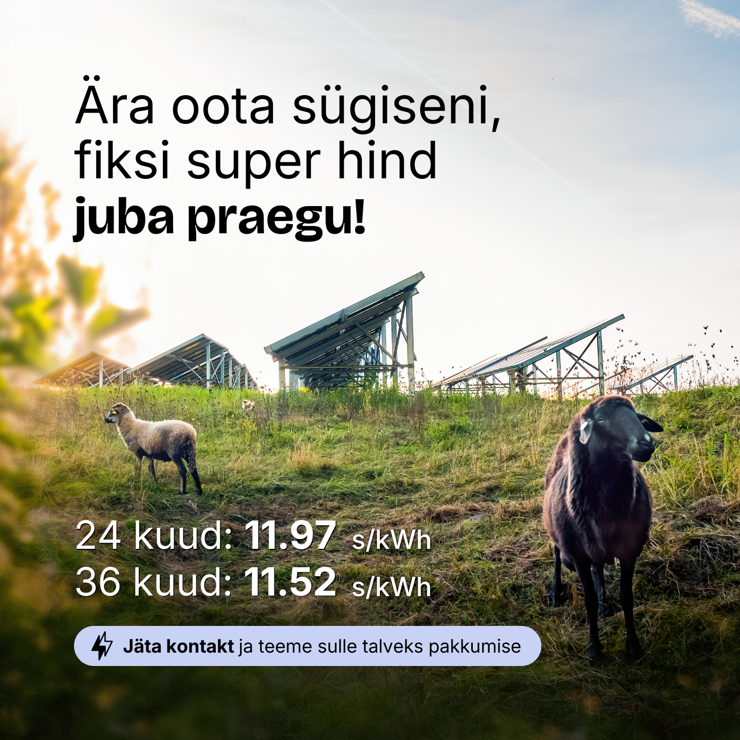 Ära oota sügiseni, fiksi super hind juba praegu! Fikseeritud pakett