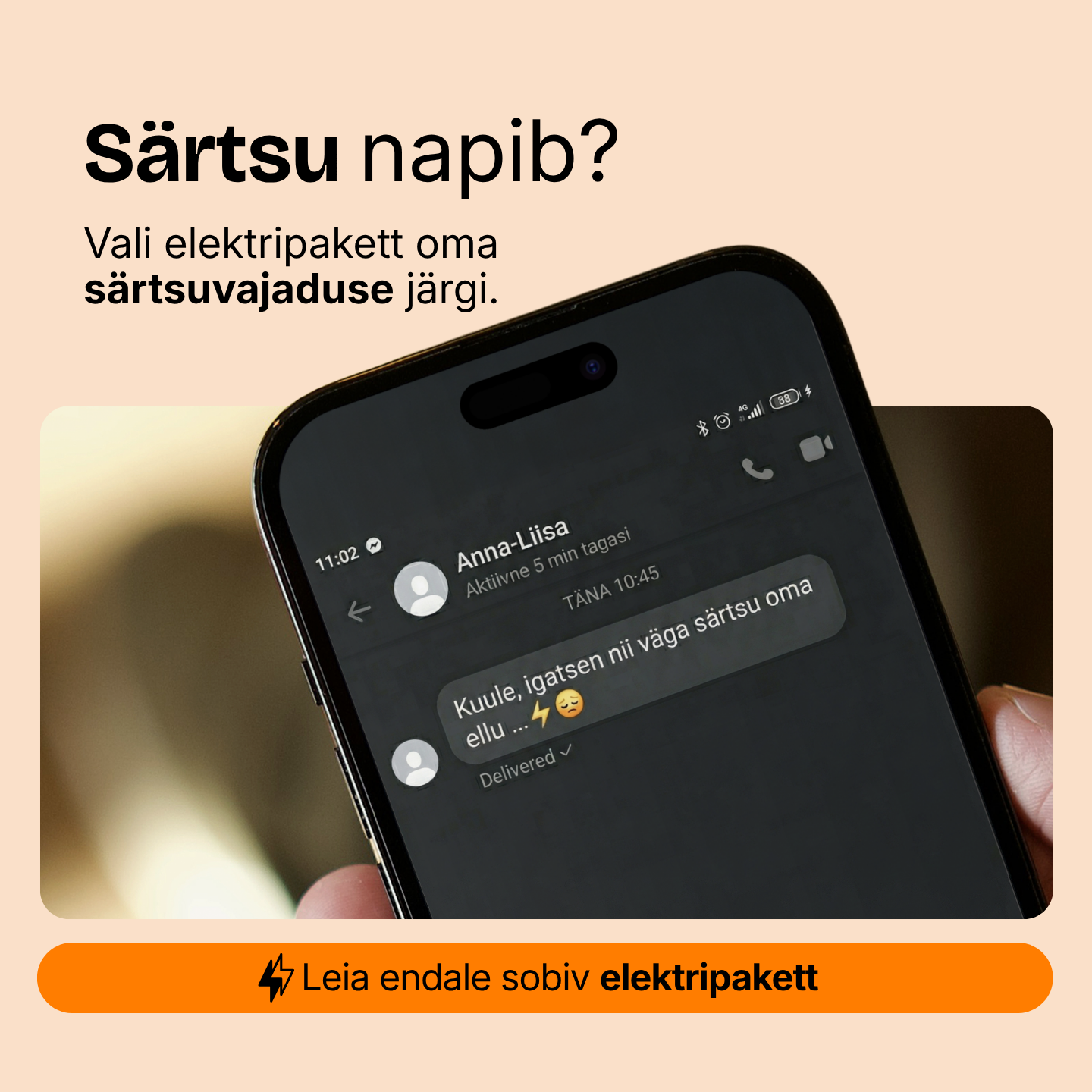 Elektrum särtsu napib. Elektripaketi valik